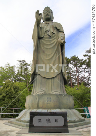 盛開的鹽船觀音寺杜鵑花 盛開的鹽船觀音寺杜鵑花 77434706