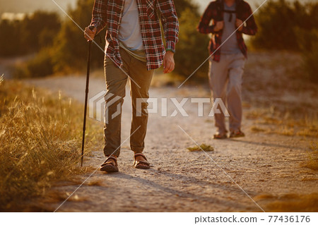 two men hikers enjoy a walk in nature, sunset time in summer two men hikers enjoy a walk in nature, sunset time in summer 77436176