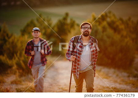 two men hikers enjoy a walk in nature, sunset time in summer two men hikers enjoy a walk in nature, sunset time in summer 77436179