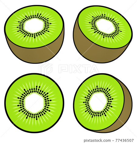 Title: Fruit illustration material, kiwifruit cut in half, line drawing style color, 4-piece set, cut collection Title: Fruit illustration material, kiwifruit cut in half, line drawing style color, 4-piece set, cut collection 77436507