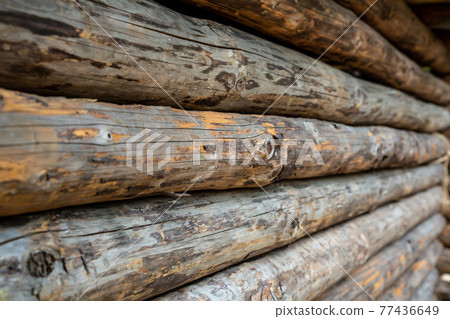 log wall wooden surface old log house 77436649