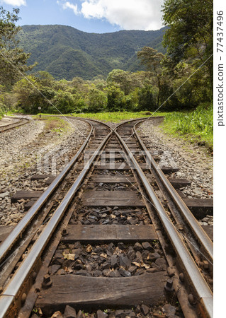 Crossing old and rusty train tracks, changing tracks near the Urubamba River, heading towards the town of Santa Teresa, from Aguas Calientes, near Machu Picchu, surrounded by the Amazon cloud forest. 77437496