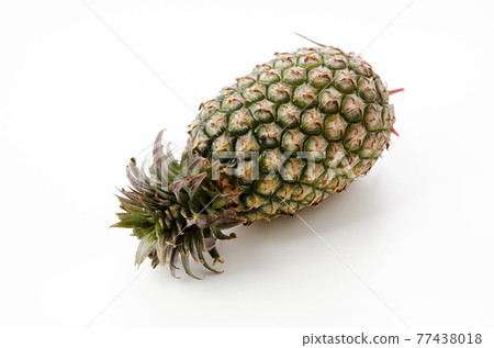 Pineapple (made in Taiwan) Pineapple (made in Taiwan) 77438018