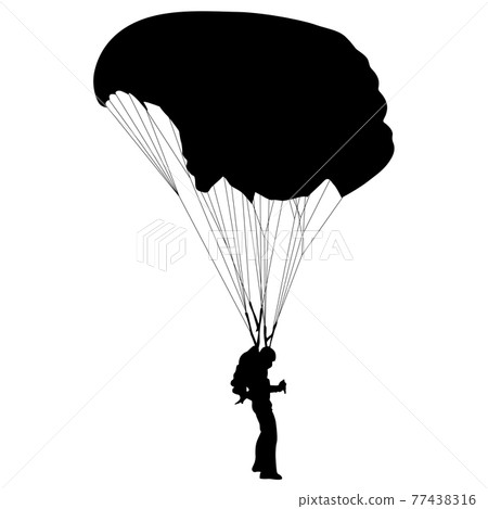 Skydiver, silhouettes parachuting on white background 77438316
