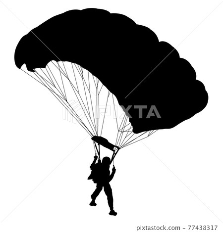 Skydiver, silhouettes parachuting on white background 77438317