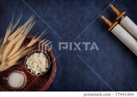 Shavuot is a traditional religious Jewish holiday on torah scroll Shavuot is a traditional religious Jewish holiday on torah scroll 77441404