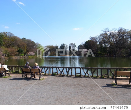 Zenfukuji公園 77441479