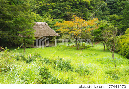 樫木吊橋附近的休息處 樫木吊橋附近的休息處 77441670