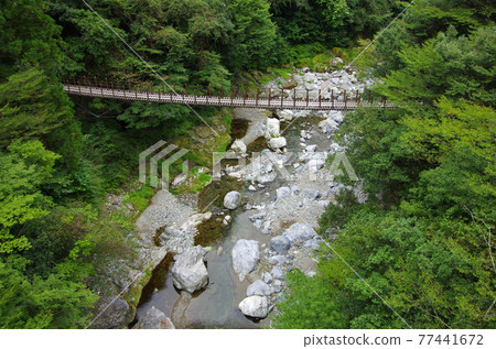 Kashinogi吊橋的Shakunage橋 77441672