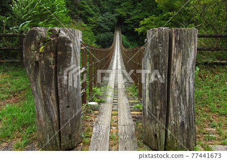 Kashinogi吊橋的Shakunage橋 Kashinogi吊橋的Shakunage橋 77441673