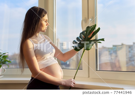 Young beautiful pregnant woman with green leaf of monstera plant 77441946