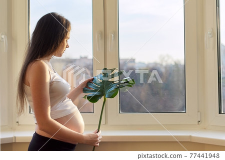 Pregnant woman with open tummy standing at home near window holding green leaf Pregnant woman with open tummy standing at home near window holding green leaf 77441948