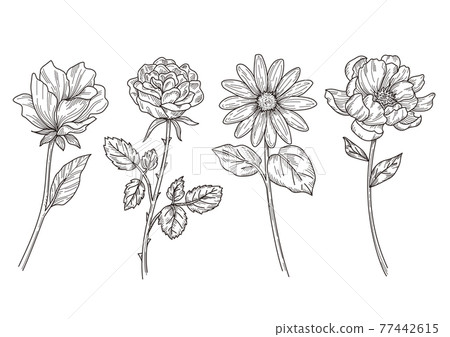 花線描圖 花線描圖 77442615