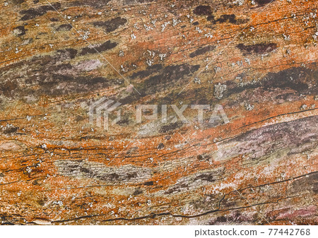 Texture of old bark or wood surface with abstract pattern, background Texture of old bark or wood surface with abstract pattern, background 77442768
