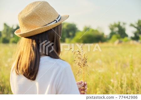 Summer nature, back view of child girl in straw hat tearing meadow grasses Summer nature, back view of child girl in straw hat tearing meadow grasses 77442986