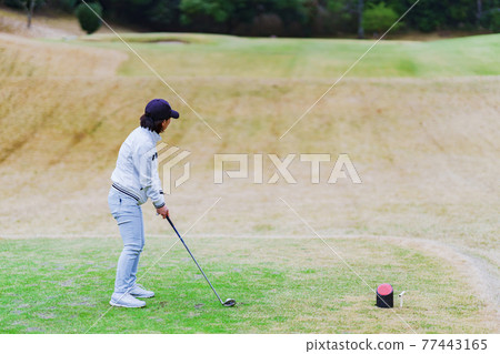 Golfer Golf Round Swing Golf Course Golfer Golf Round Swing Golf Course 77443165