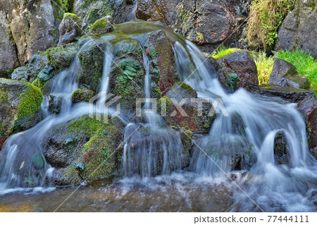 【白川水源】熊本縣阿蘇區南阿蘇村白川 77444111