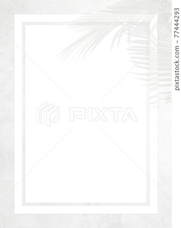 A refreshing frame with white walls and shadows of plants-there are multiple variations A refreshing frame with white walls and shadows of plants-there are multiple variations 77444293