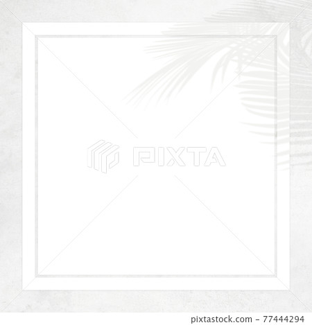 A refreshing frame with white walls and shadows of plants-there are multiple variations A refreshing frame with white walls and shadows of plants-there are multiple variations 77444294