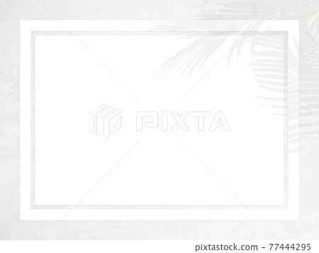 A refreshing frame with white walls and shadows of plants-there are multiple variations A refreshing frame with white walls and shadows of plants-there are multiple variations 77444295