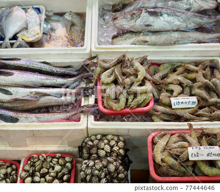 A variety of seafood in the Korean market 77444646
