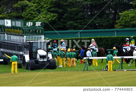 Fresh green Chukyo horse racing 77444903