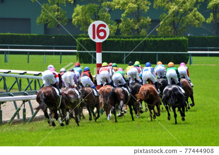 鮮綠中京賽馬 鮮綠中京賽馬 77444908