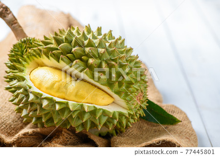 Chani Kai Durian or Durio zibthinus murray on sack, Chani Kai Durian or Durio zibthinus murray on sack, 77445801