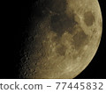 Kogetsu-Half Moon Moonlight 77445832