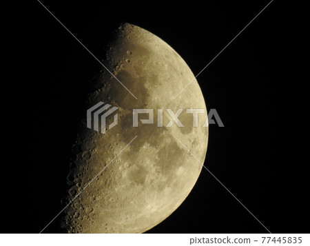 Kogetsu-Half Moon Moonlight 77445835