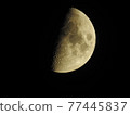 Kogetsu-Half Moon Moonlight 77445837