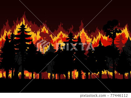 Forest fire with burning trees, save environment Forest fire with burning trees, save environment 77446112