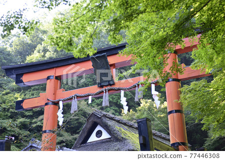 Atago Shrine One Torii 77446308