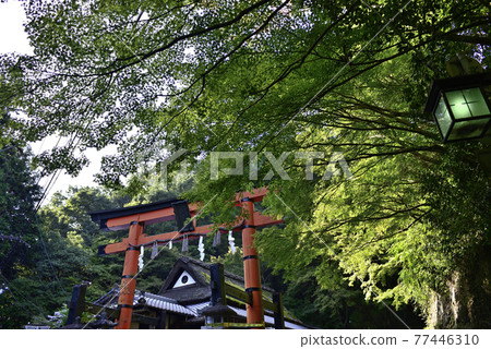 Atago Shrine One Torii 77446310