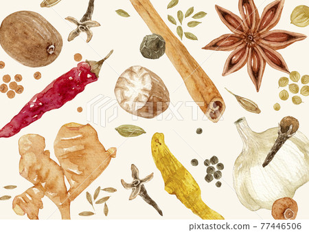 香料香料背景圖案紡織品水彩插圖 77446506