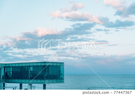 Hitachi Station 77447367