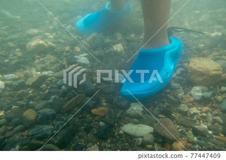 outing to the riverside, playing in a river, younger 77447409