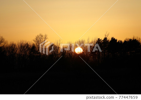 Setting sun Setting sun 77447659