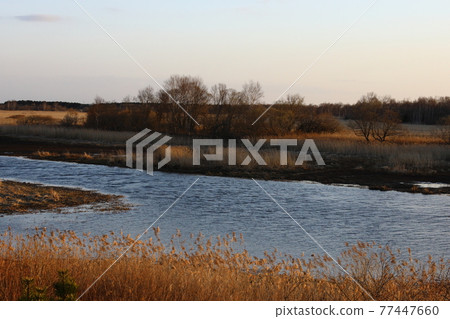 At dusk 77447660