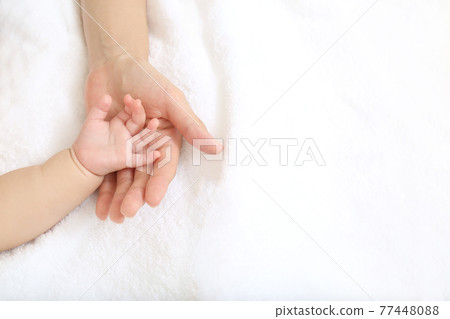 嬰兒 寶寶 寶貝 77448088