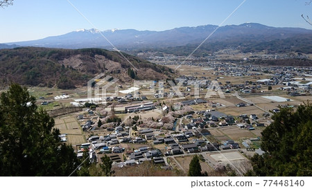 從展望台龍岡城五棱郭盛開的櫻花(2021年4月) 從展望台龍岡城五棱郭盛開的櫻花(2021年4月) 77448140