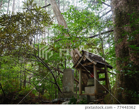 熊野古道地藏 熊野古道地藏 77448362