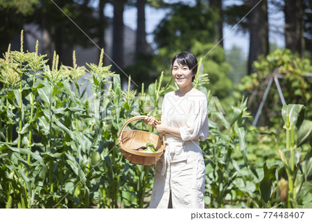 Farmer woman working in the field 77448407