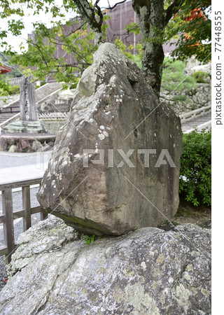 Kiyomizu-dera Kishi Ganku“老虎圖/石燈籠”八方凝視虎 Kiyomizu-dera Kishi Ganku“老虎圖/石燈籠”八方凝視虎 77448555