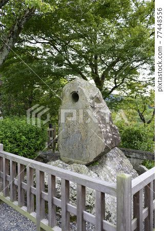 Kiyomizu-dera Kishi Ganku“老虎圖/石燈籠”八方凝視虎 77448556