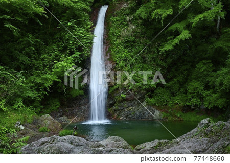 秩父華嚴瀑布 77448660