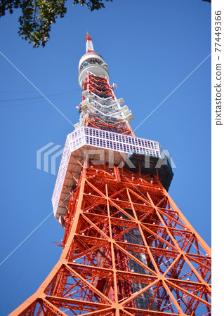 東京塔。 77449366