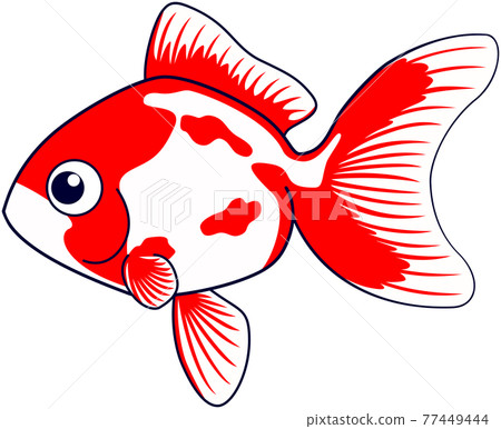Goldfish illustration 77449444