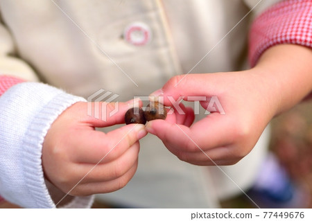 Child with acorn Child with acorn 77449676