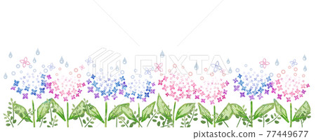 Cute hydrangea (horizontal) Cute hydrangea (horizontal) 77449677
